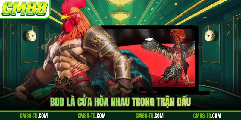 BDD Là Cửa Hòa Nhau Trong Trận Đấu