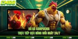 Đá Gà Campuchia - Trực Tiếp Cực Nóng Mỗi Ngày 24/7