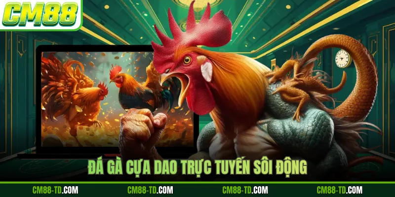 Đá Gà Cựa Dao Trực Tuyến Sôi Động