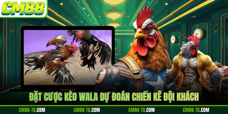 Đặt Cược Kèo Wala Dự Đoán Chiến Kê Đội Khách