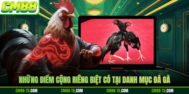 Những Điểm Cộng Riêng Biệt Có Tại Danh Mục Đá Gà