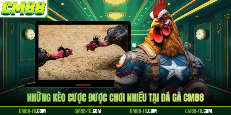 Những Kèo Cược Được Chơi Nhiều Tại Đá Gà CM88
