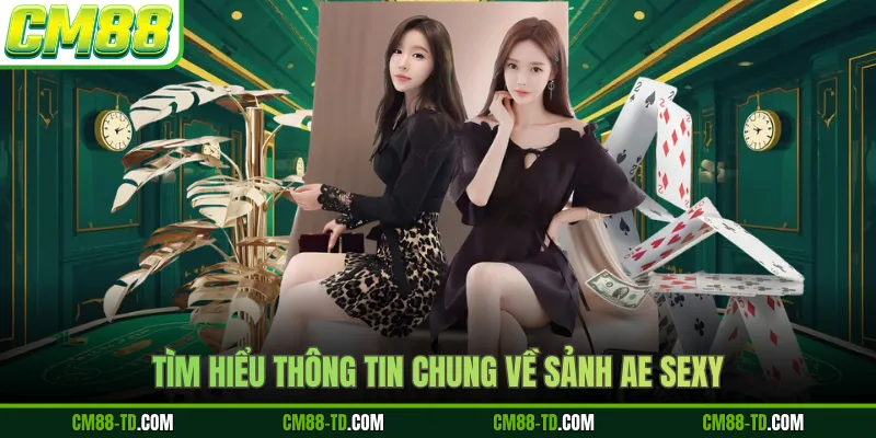 Tìm Hiểu Thông Tin Chung Về Sảnh AE Sexy