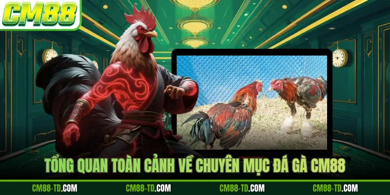 Tổng Quan Toàn Cảnh Về Chuyên Mục Đá Gà CM88