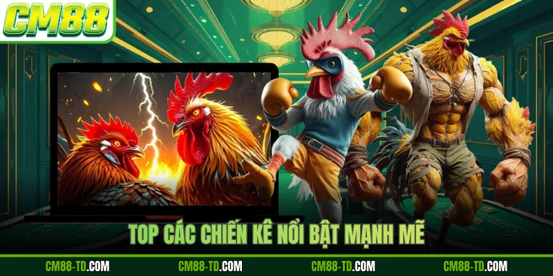 Top Các Chiến Kê Nổi Bật Mạnh Mẽ